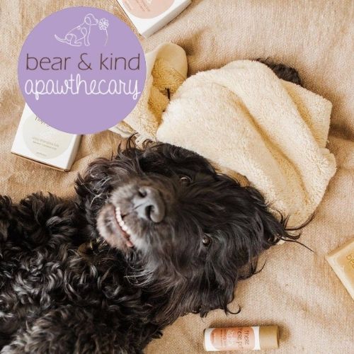 Bear and Kind Apawthecary banner by Eden Tree Eco