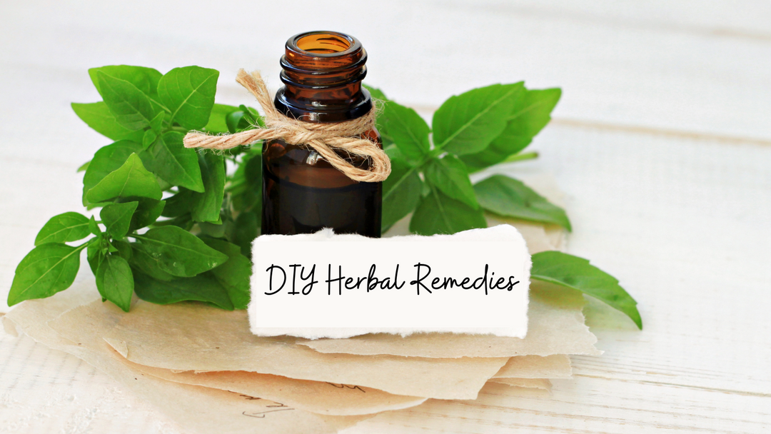 DIY Herbal Skin & Hair Care Remedies