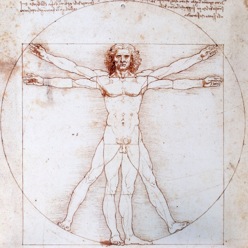 DaVinci Illustration of the human body