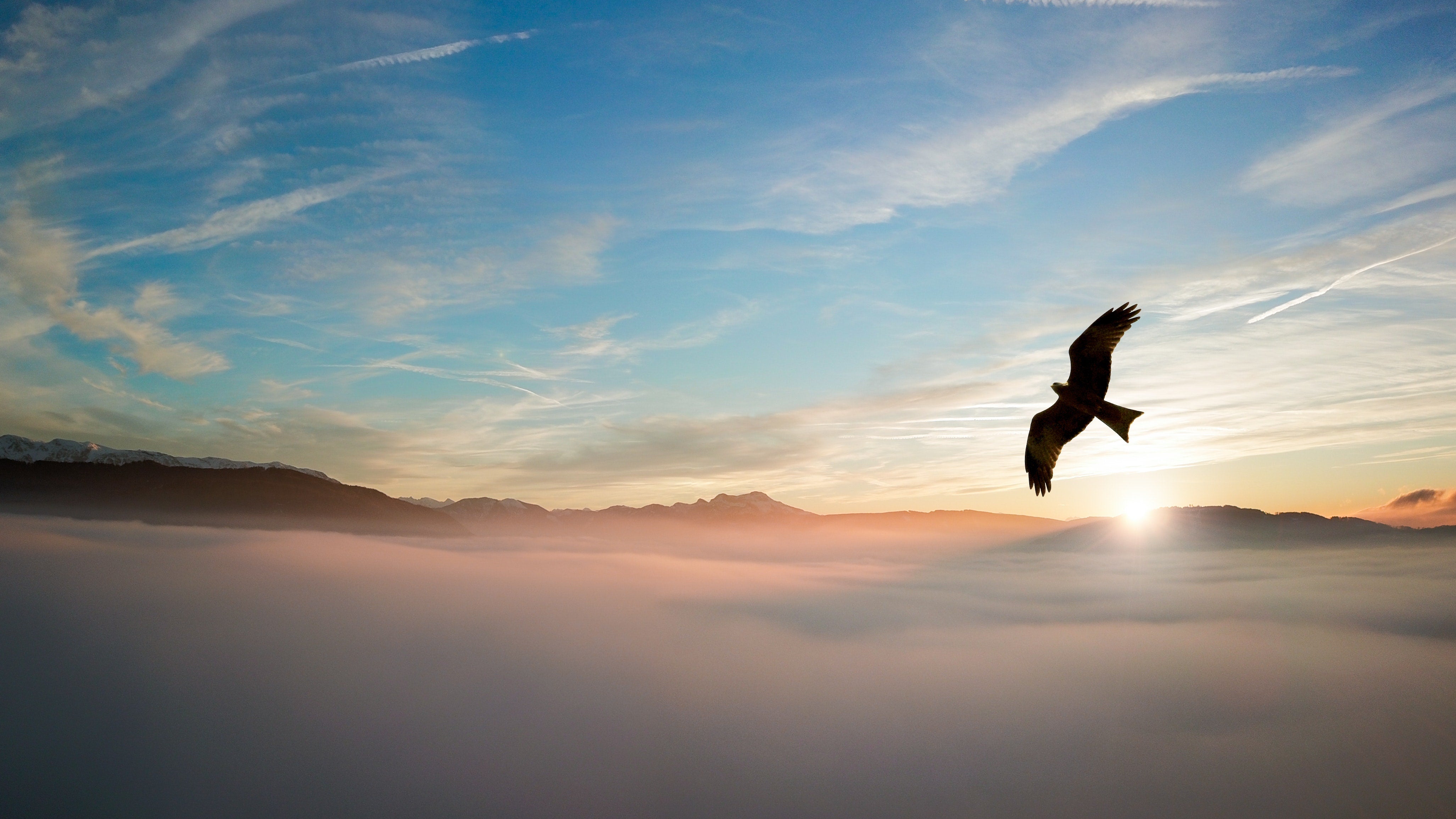 Eagle souring above the clouds with mountain peaks kissing a blue sky horizon.