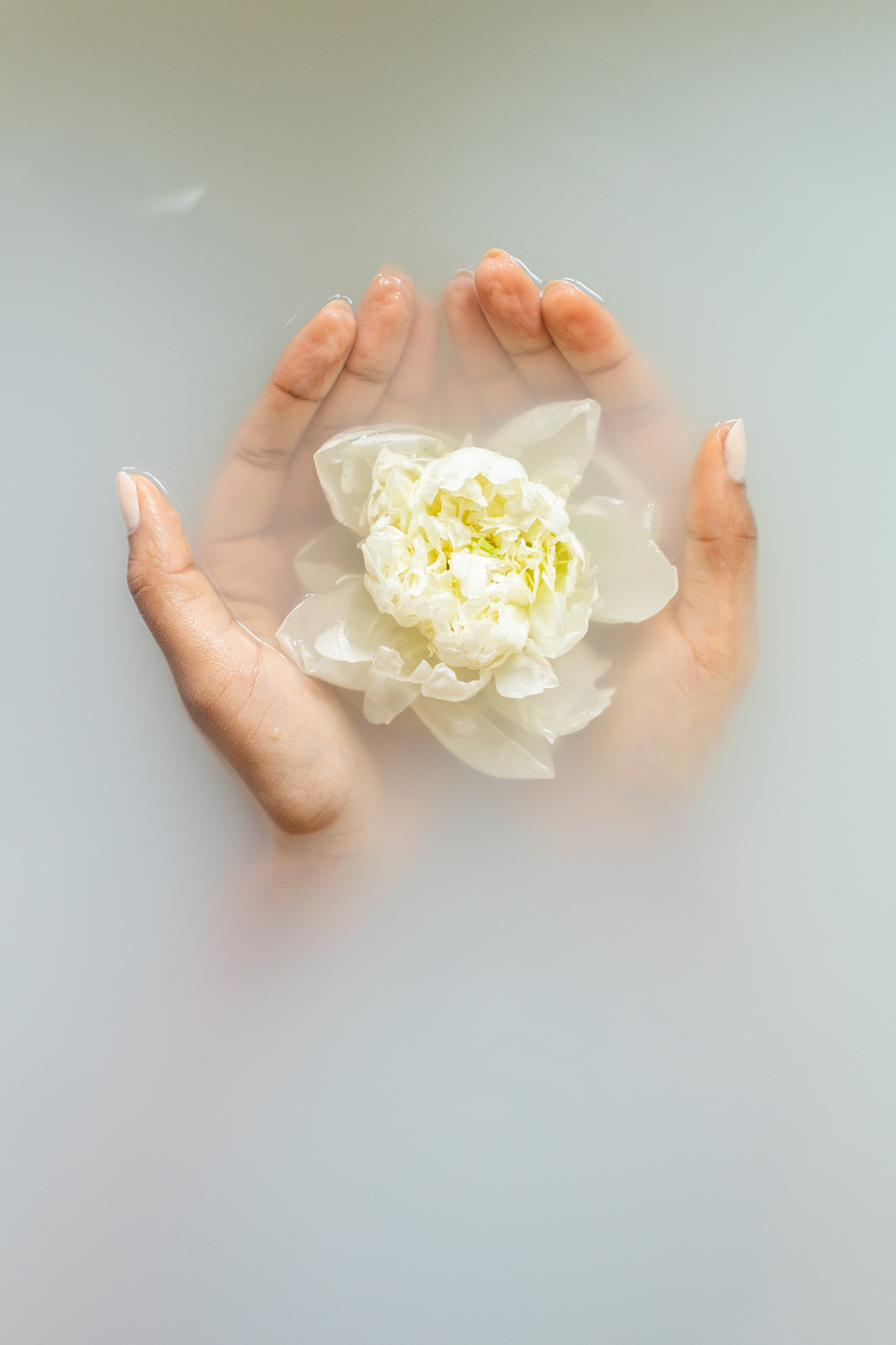 Hands holding a white flower in a cloudy white water bath.