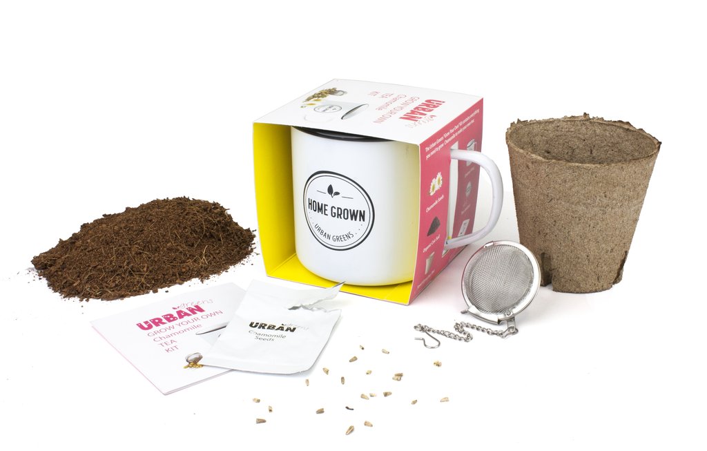 Grow Your Own Tea Kit - Chamomile