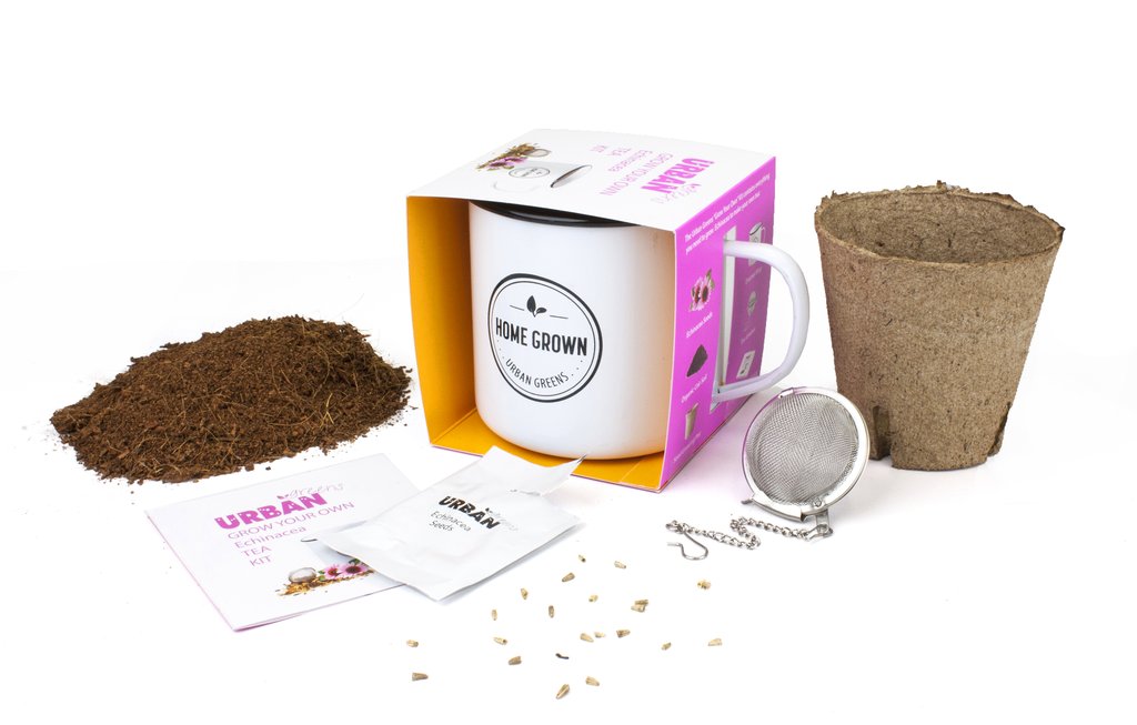 Grow Your Own Tea Kit - Echinacea