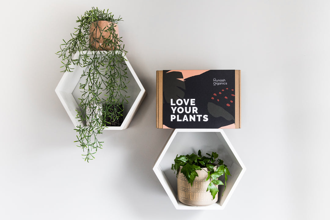 Love Your Plants - Gift Pack