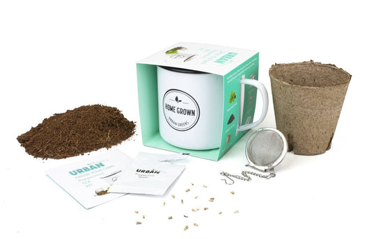 Grow Your Own Tea Kit - Peppermint